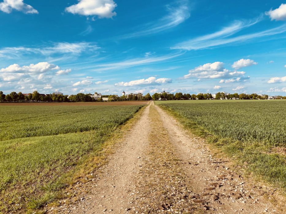 Meine „Road to a COVID-safe Nextwork”